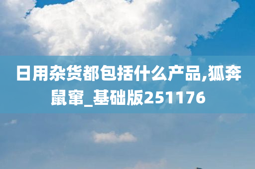 日用杂货都包括什么产品,狐奔鼠窜_基础版251176