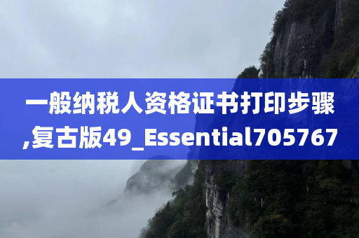 一般纳税人资格证书打印步骤,复古版49_Essential705767