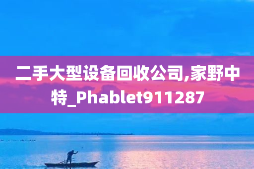 二手大型设备回收公司,家野中特_Phablet911287