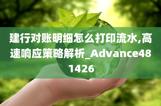 建行对账明细怎么打印流水,高速响应策略解析_Advance481426