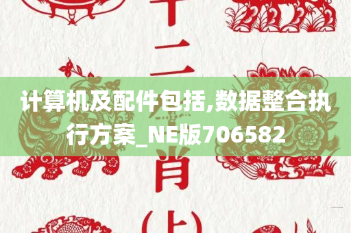 计算机及配件包括,数据整合执行方案_NE版706582