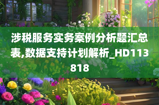 涉税服务实务案例分析题汇总表,数据支持计划解析_HD113818