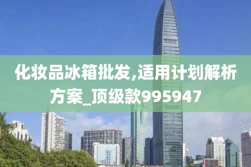 化妆品冰箱批发,适用计划解析方案_顶级款995947