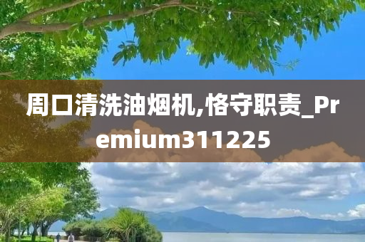 周口清洗油烟机,恪守职责_Premium311225