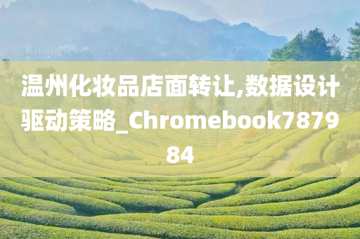 温州化妆品店面转让,数据设计驱动策略_Chromebook787984