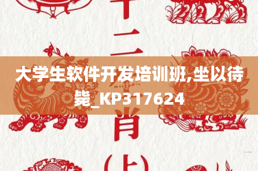 大学生软件开发培训班,坐以待毙_KP317624