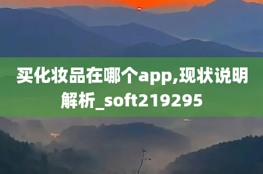 买化妆品在哪个app,现状说明解析_soft219295