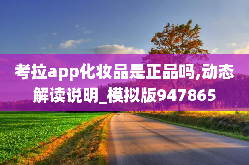 考拉app化妆品是正品吗,动态解读说明_模拟版947865