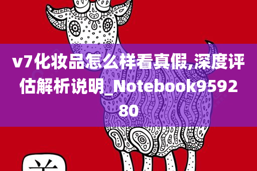 v7化妆品怎么样看真假,深度评估解析说明_Notebook959280