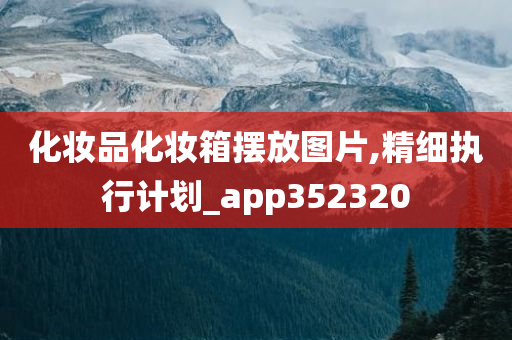 化妆品化妆箱摆放图片,精细执行计划_app352320