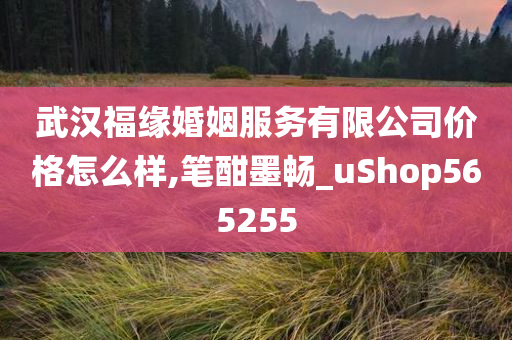 武汉福缘婚姻服务有限公司价格怎么样,笔酣墨畅_uShop565255