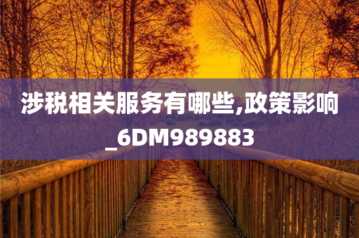 涉税相关服务有哪些,政策影响_6DM989883