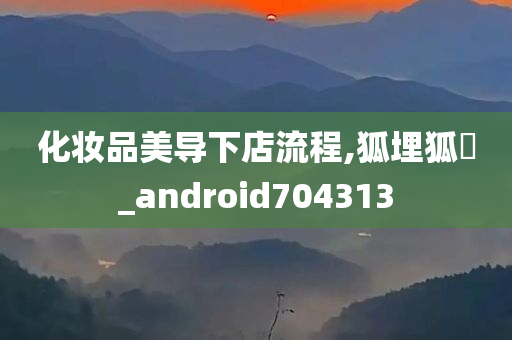 化妆品美导下店流程,狐埋狐搰_android704313