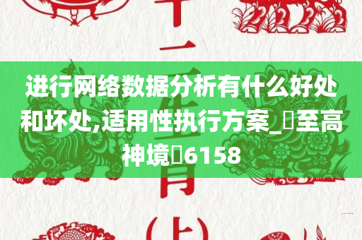 进行网络数据分析有什么好处和坏处,适用性执行方案_‌至高神境‌6158