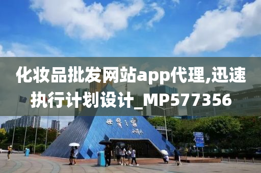 化妆品批发网站app代理,迅速执行计划设计_MP577356