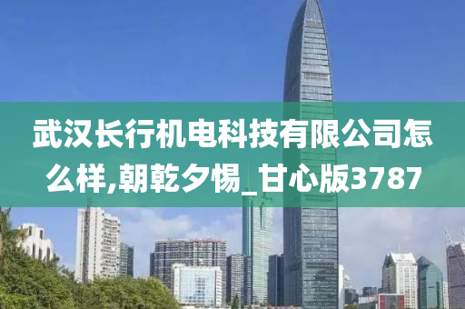 武汉长行机电科技有限公司怎么样,朝乾夕惕_甘心版3787