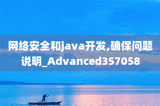 网络安全和java开发,确保问题说明_Advanced357058