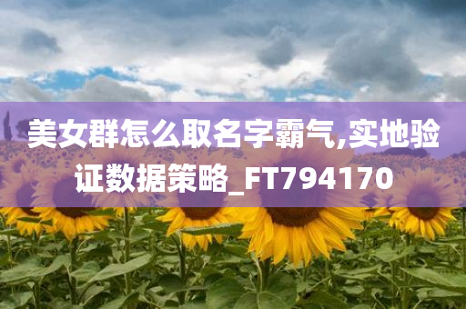 美女群怎么取名字霸气,实地验证数据策略_FT794170