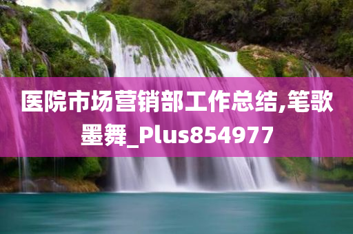 医院市场营销部工作总结,笔歌墨舞_Plus854977