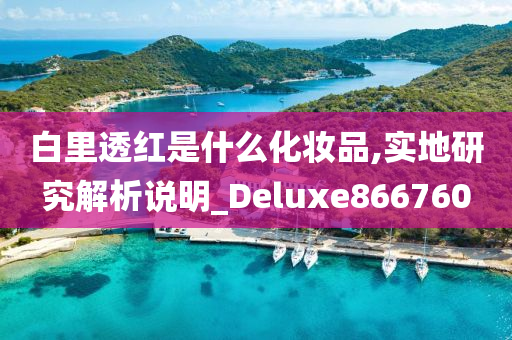 白里透红是什么化妆品,实地研究解析说明_Deluxe866760