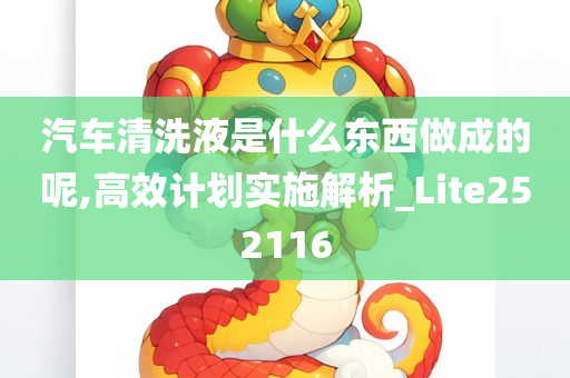 汽车清洗液是什么东西做成的呢,高效计划实施解析_Lite252116