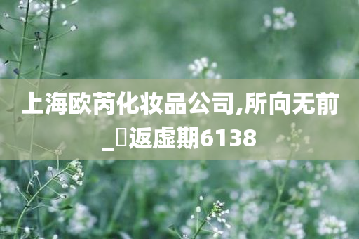 上海欧芮化妆品公司,所向无前_‌返虚期6138