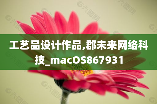 工艺品设计作品,郡未来网络科技_macOS867931