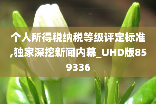 个人所得税纳税等级评定标准,独家深挖新闻内幕_UHD版859336