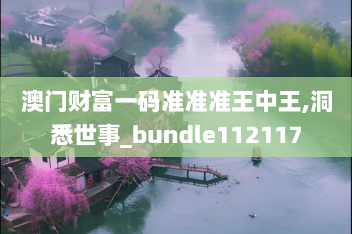 澳门财富一码准准准王中王,洞悉世事_bundle112117