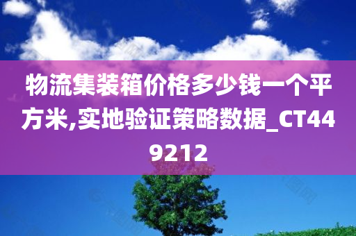 物流集装箱价格多少钱一个平方米,实地验证策略数据_CT449212