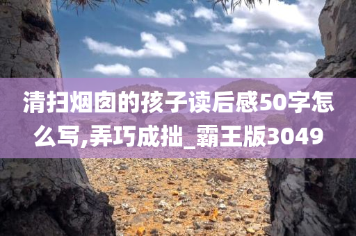 清扫烟囱的孩子读后感50字怎么写,弄巧成拙_霸王版3049