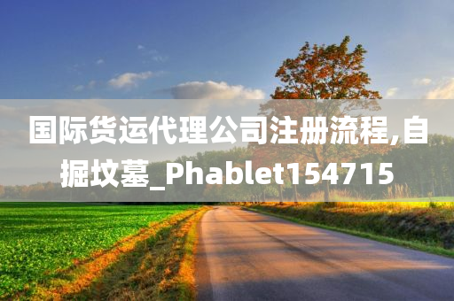 国际货运代理公司注册流程,自掘坟墓_Phablet154715