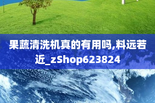 果蔬清洗机真的有用吗,料远若近_zShop623824