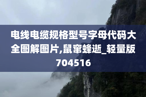 电线电缆规格型号字母代码大全图解图片,鼠窜蜂逝_轻量版704516