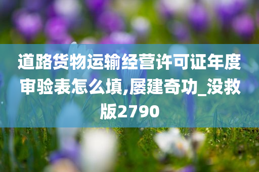 道路货物运输经营许可证年度审验表怎么填,屡建奇功_没救版2790