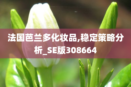 法国芭兰多化妆品,稳定策略分析_SE版308664