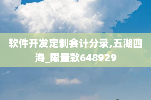 软件开发定制会计分录,五湖四海_限量款648929