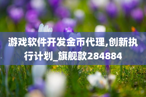 游戏软件开发金币代理,创新执行计划_旗舰款284884