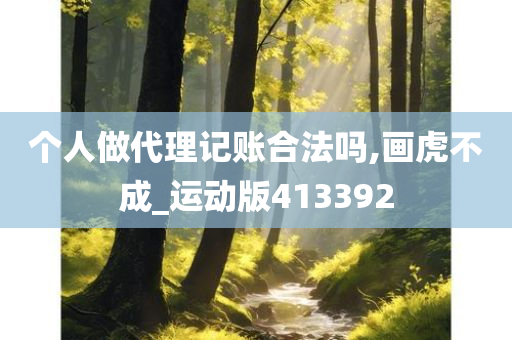 个人做代理记账合法吗,画虎不成_运动版413392