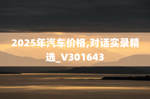 2025年汽车价格,对话实录精选_V301643