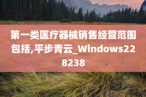 第一类医疗器械销售经营范围包括,平步青云_Windows228238