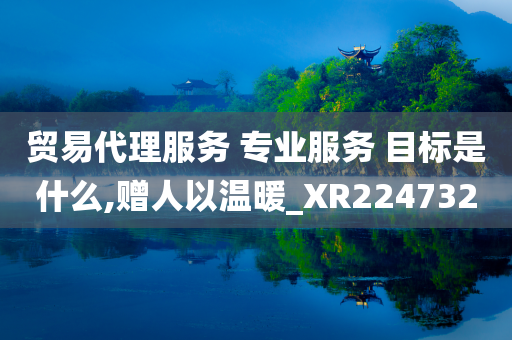 贸易代理服务 专业服务 目标是什么,赠人以温暖_XR224732