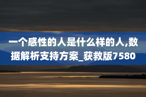 一个感性的人是什么样的人,数据解析支持方案_获救版7580