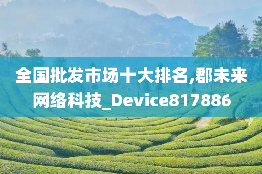 全国批发市场十大排名,郡未来网络科技_Device817886