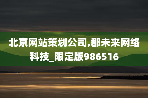 北京网站策划公司,郡未来网络科技_限定版986516