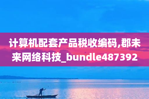 计算机配套产品税收编码,郡未来网络科技_bundle487392