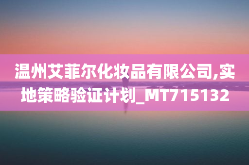 温州艾菲尔化妆品有限公司,实地策略验证计划_MT715132