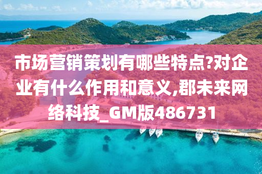 市场营销策划有哪些特点?对企业有什么作用和意义,郡未来网络科技_GM版486731