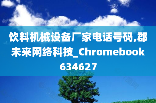 饮料机械设备厂家电话号码,郡未来网络科技_Chromebook634627