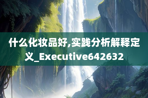 什么化妆品好,实践分析解释定义_Executive642632